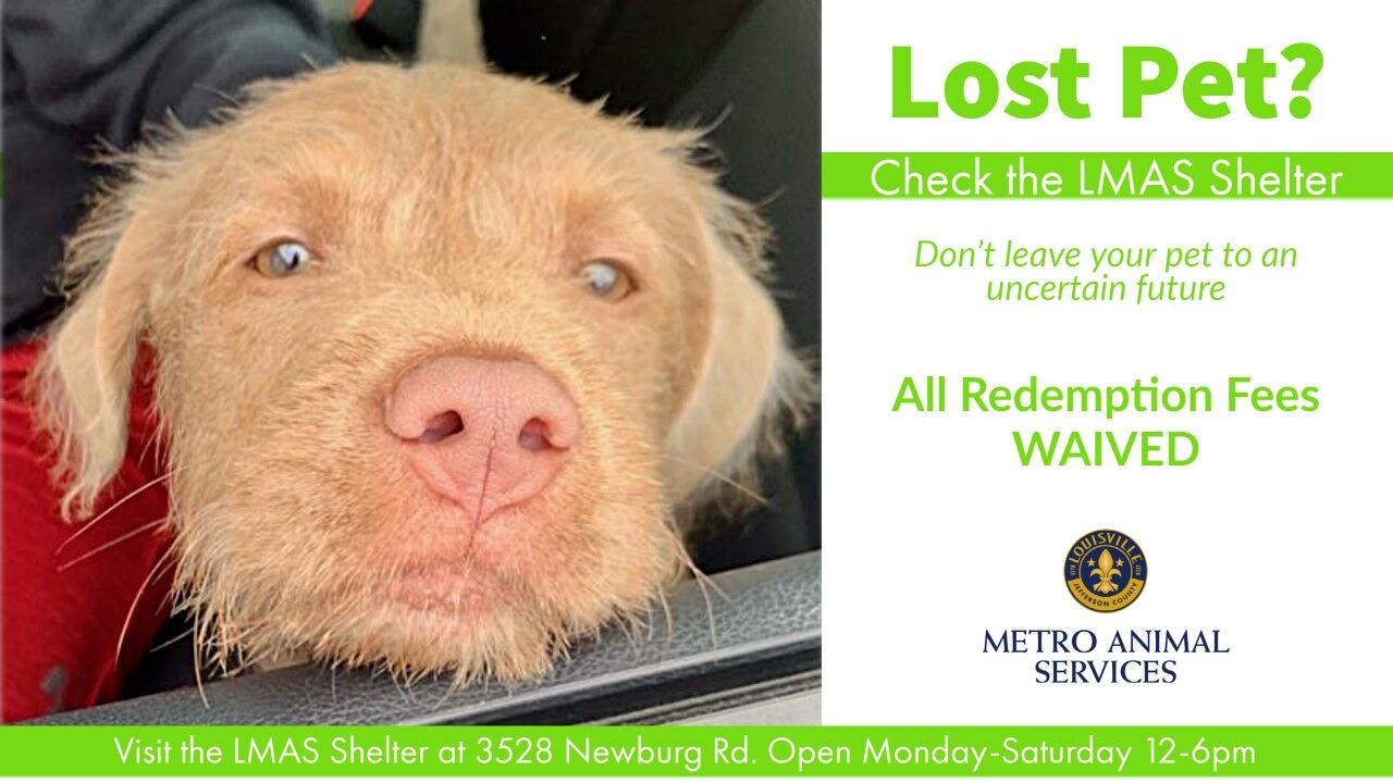 LMAS Redemption Fees Flyer.jpg